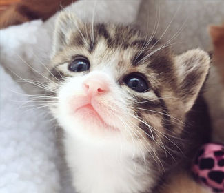 低空無人機(jī)測繪：高效、精確、廣泛應(yīng)用的新興技術(shù)